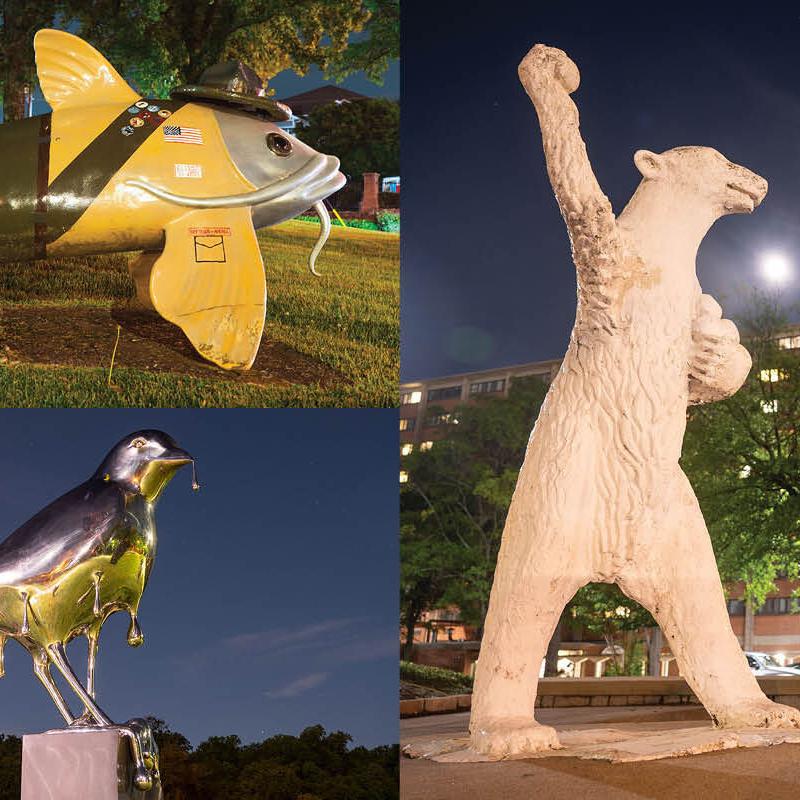 Summer Guide 2025: Outdoor Animal Landmark Tour